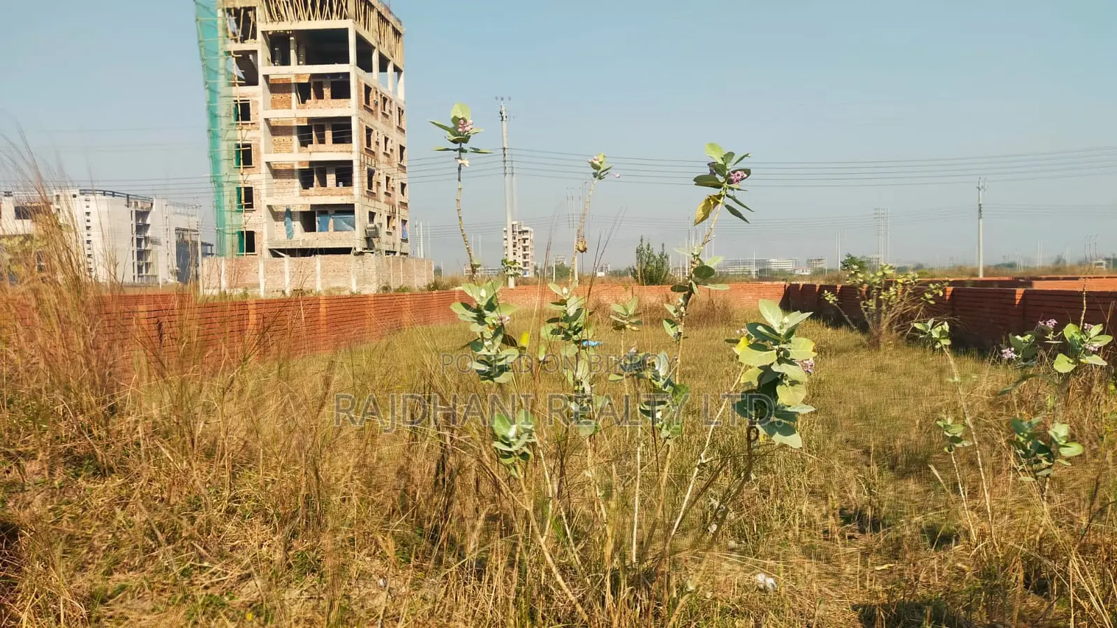 5 কাঠার প্লট বিক্রয় N - Ex ব্লক বসুন্ধরা আবাসিক