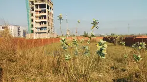 5 কাঠার প্লট বিক্রয় N - Ex ব্লক বসুন্ধরা আবাসিক