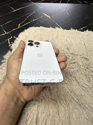 Apple iPhone 13 Pro 256 GB
