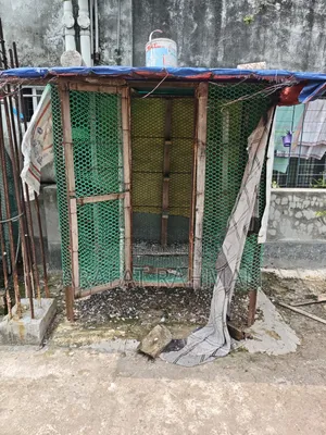 বিক্রি করতে চাই
