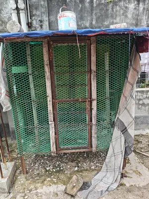 বিক্রি করতে চাই