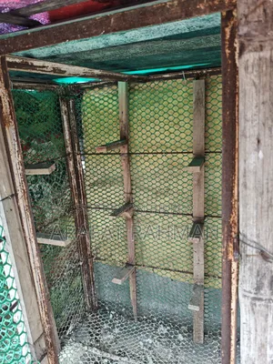 বিক্রি করতে চাই