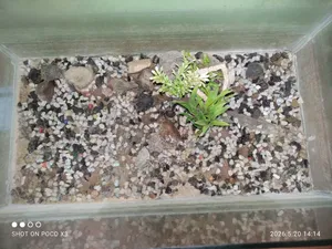 Aquarium