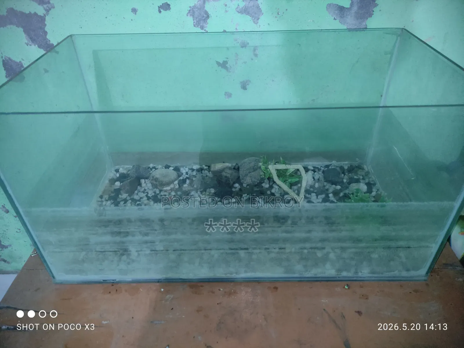 Aquarium