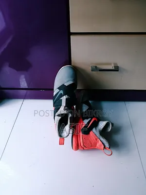Nike LeBron