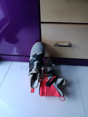 Nike LeBron