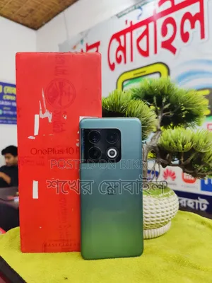 OnePlus 10 Pro 256 GB Gray