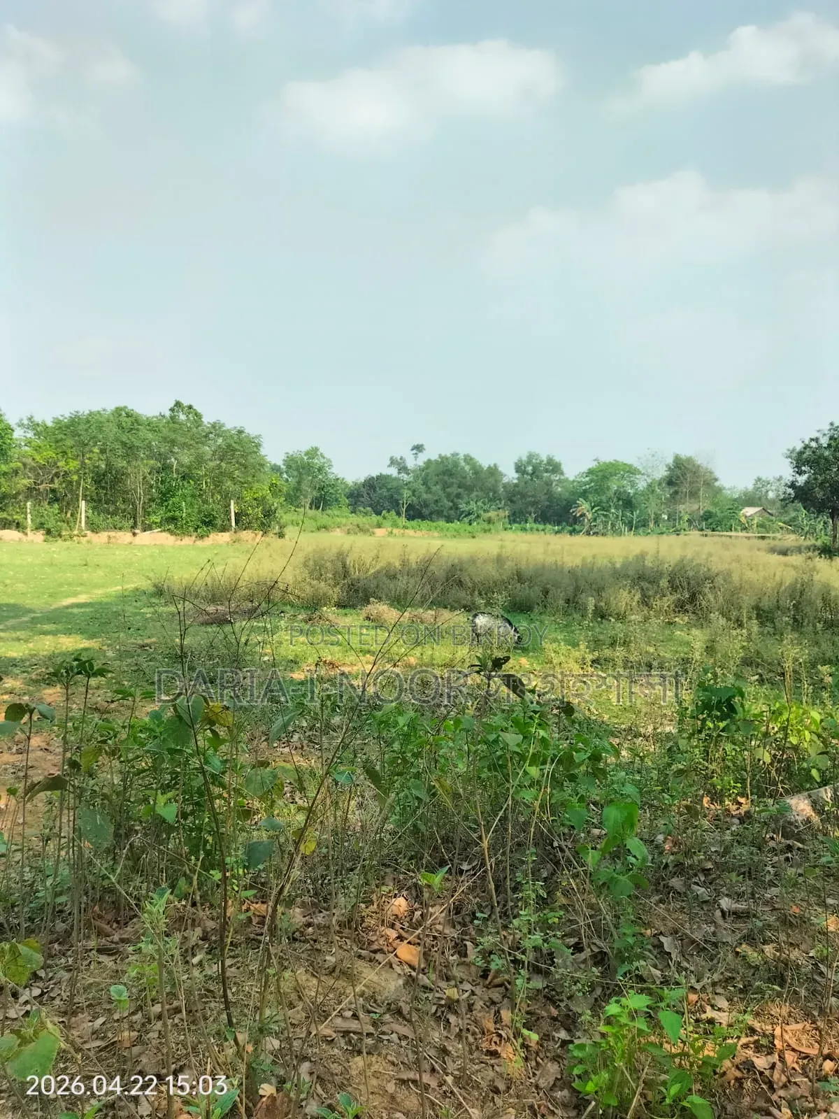 10 Bigha High Land for Sale in Maona, Gazipur