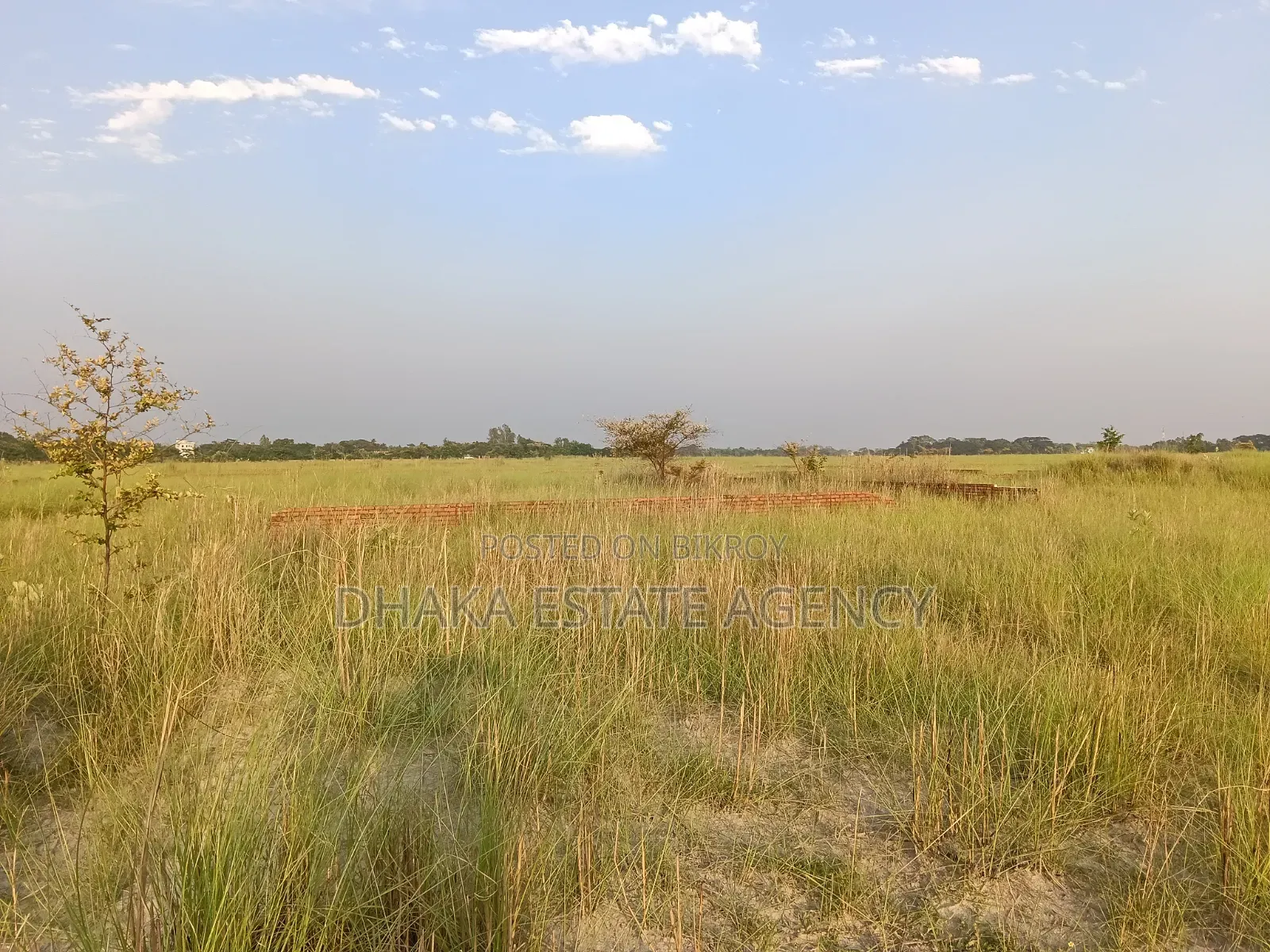 Urgent P, Block, 3 Katha Plot Sale
