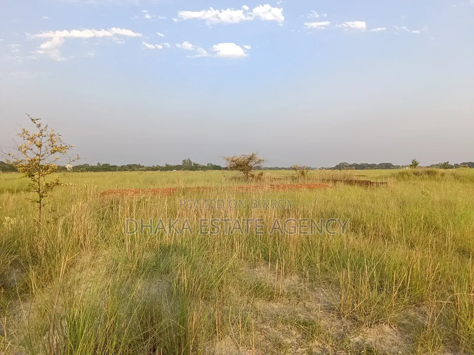 P-Ext, Block, 5 Katha South Facing Plot Sale