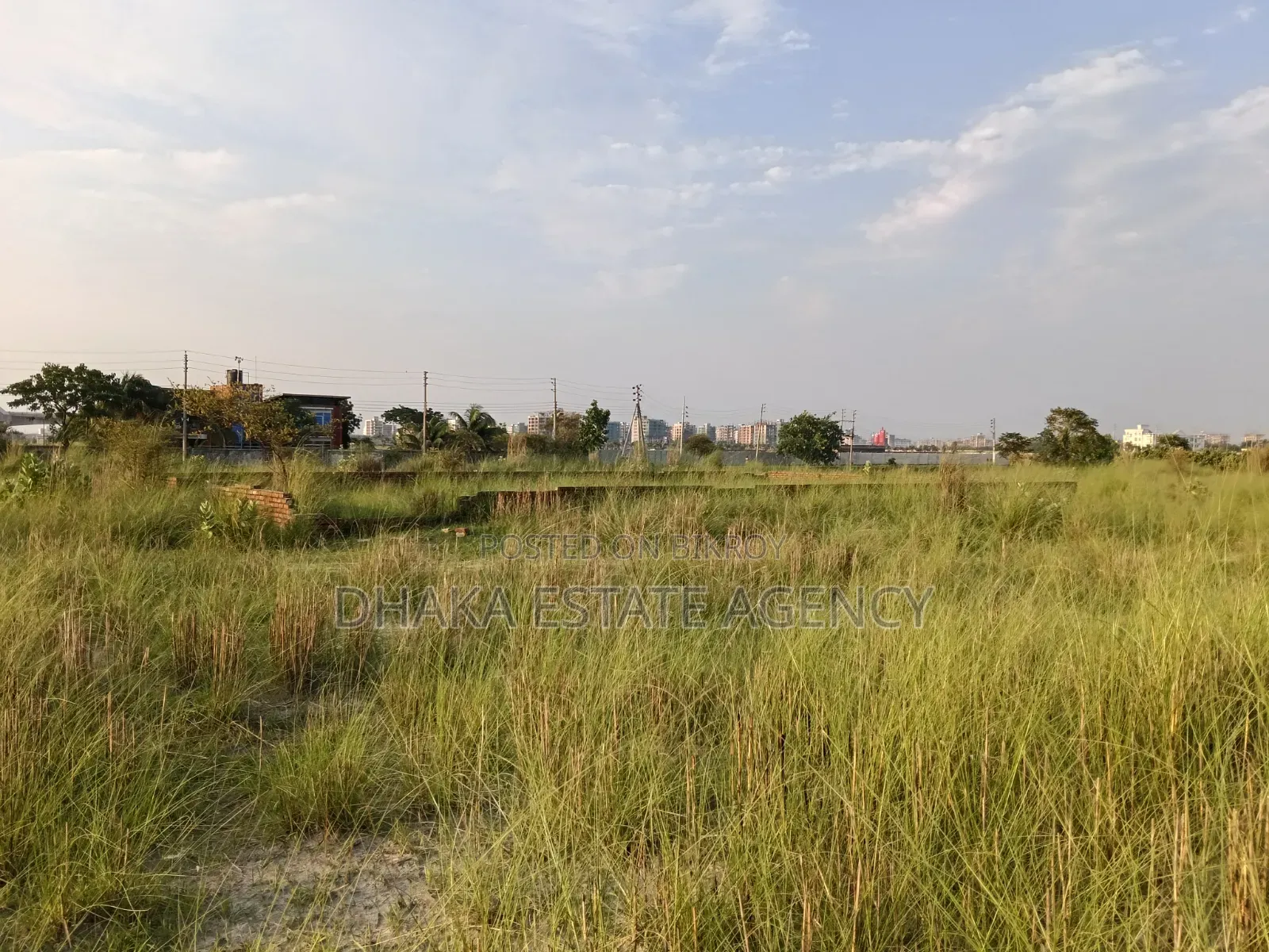Urgent P, Block, 3 Katha Plot Sale