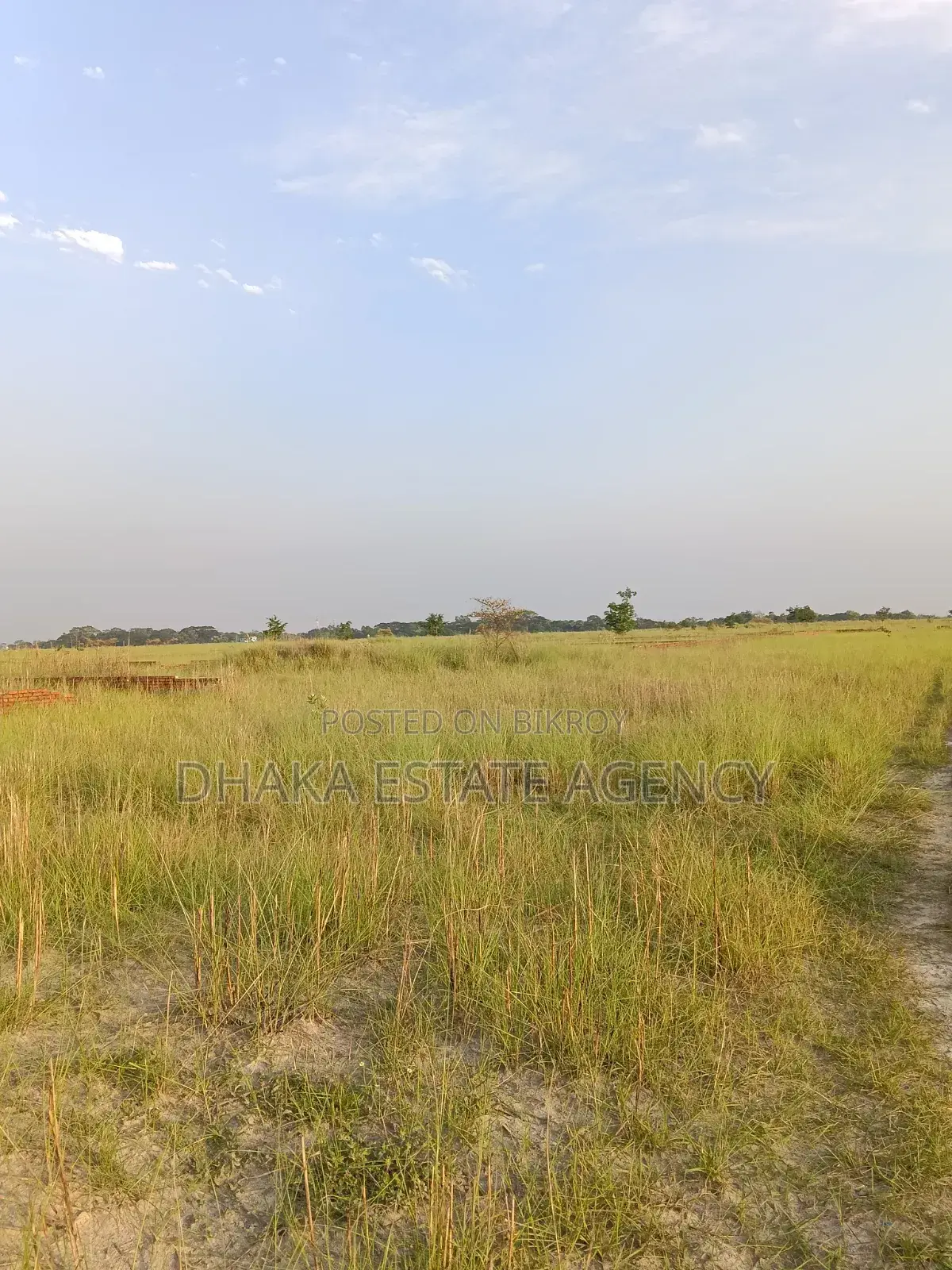 Urgent P-Ext, 4 Katha Plot Sale