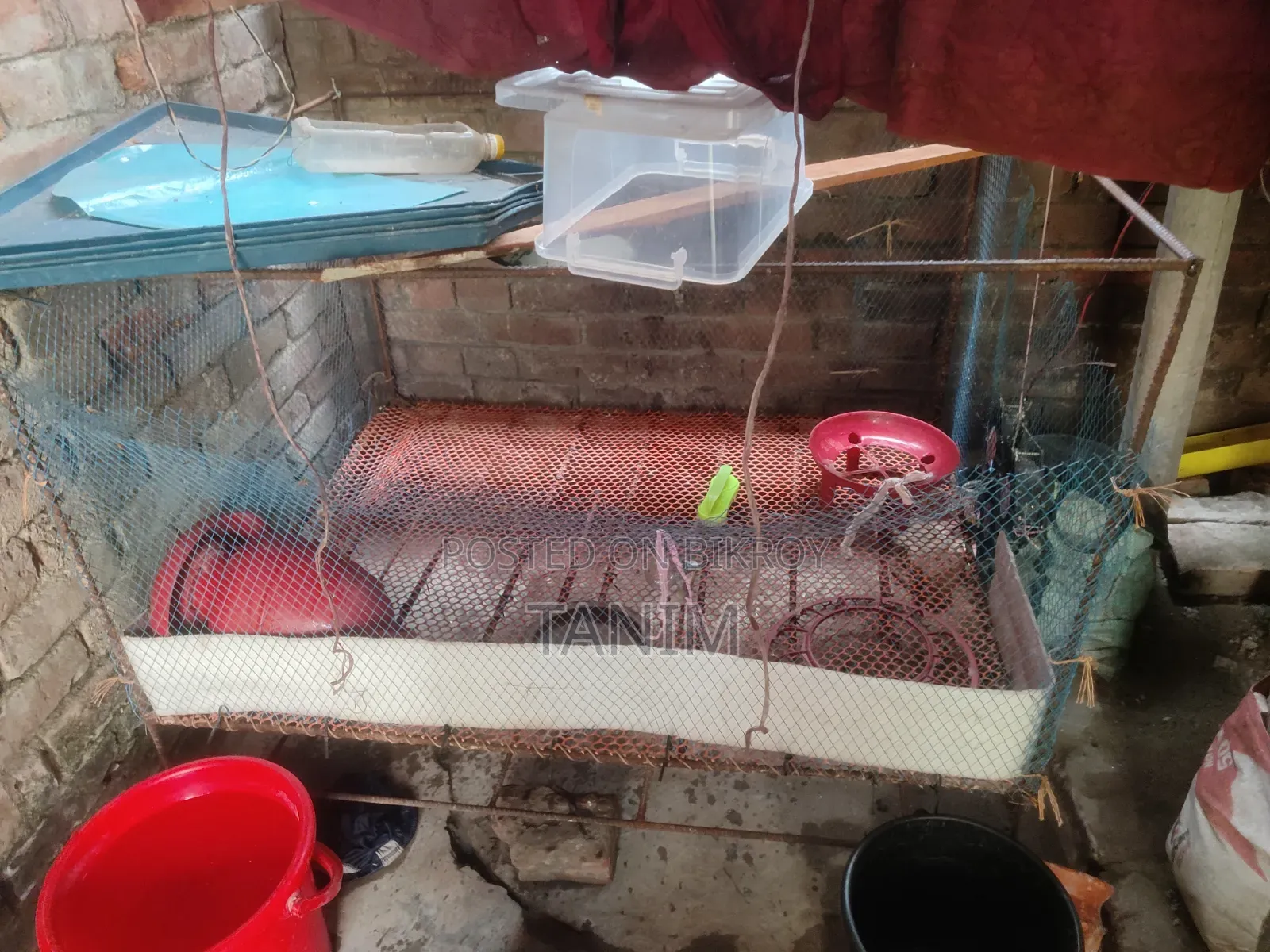 Two Iron Cages For Sale. One for Quail and one for Chicken
