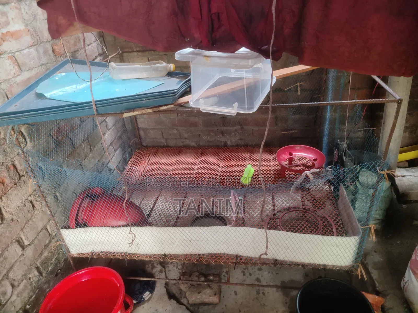 Two Iron Cages For Sale. One for Quail and one for Chicken