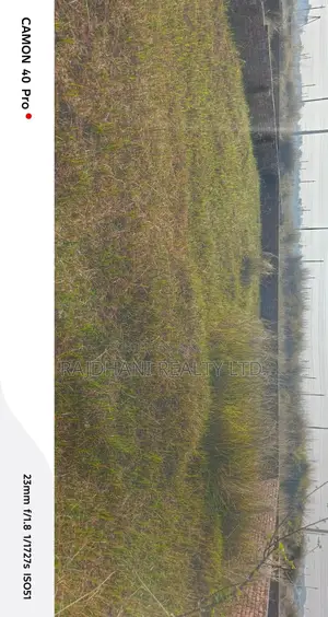 5 Katha Ready Plot for Sale in Block N, Bashundhara R/A