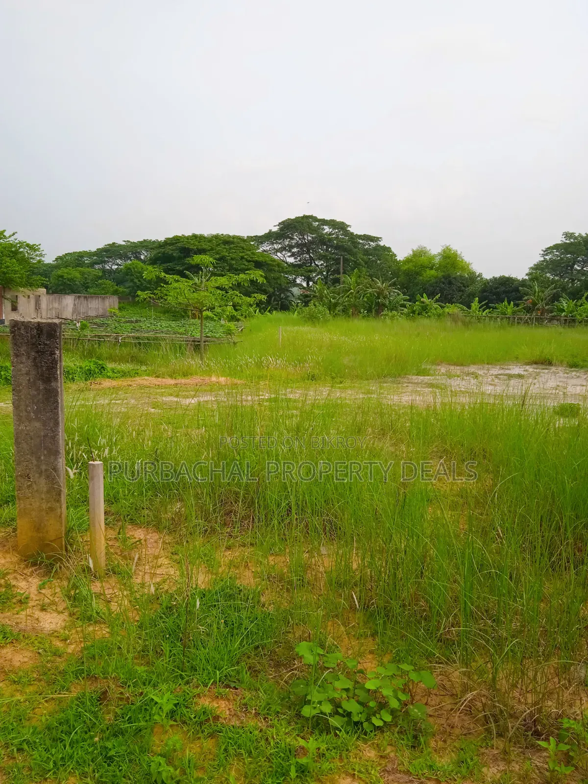 60 Decimal Land for Sale Suitable for Residential/Commercial Projects