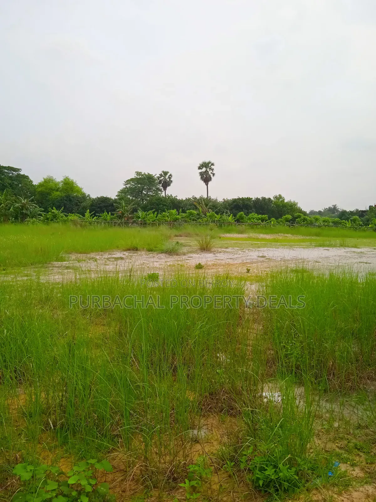 60 Decimal Land for Sale Suitable for Residential/Commercial Projects