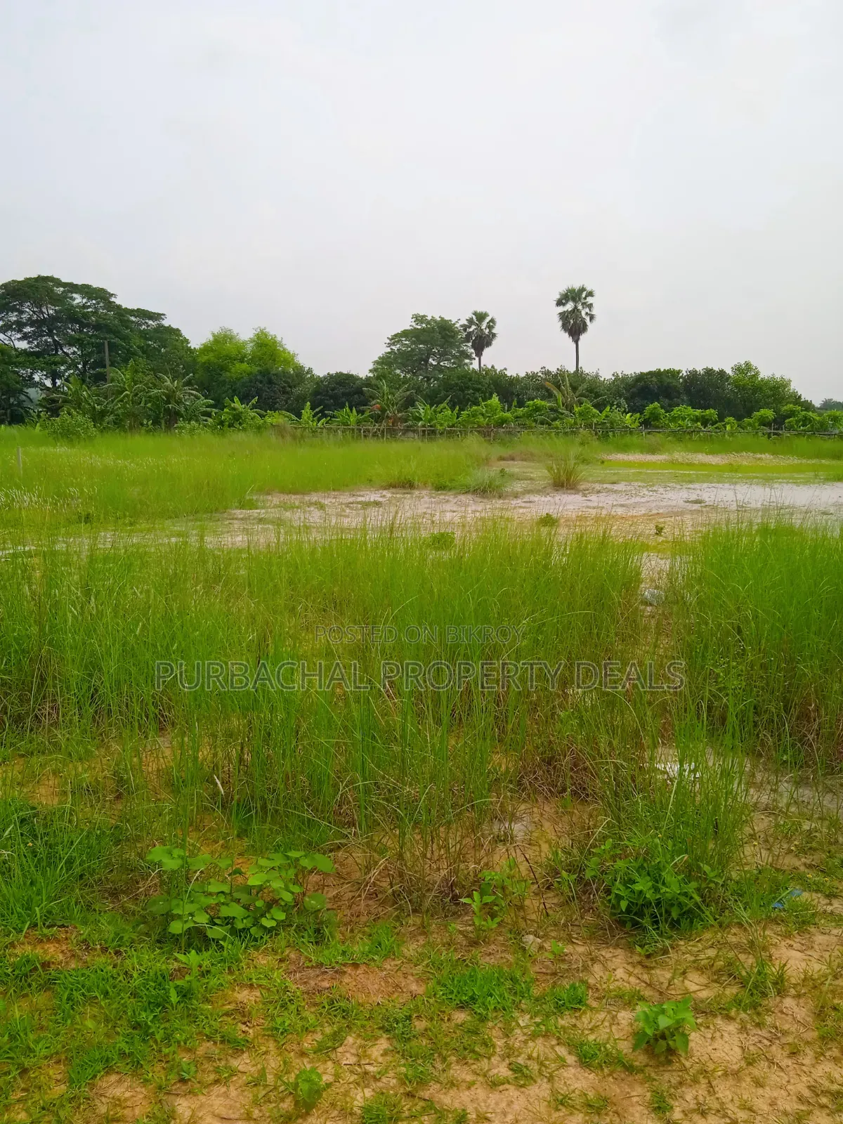 60 Decimal Land for Sale Suitable for Residential/Commercial Projects