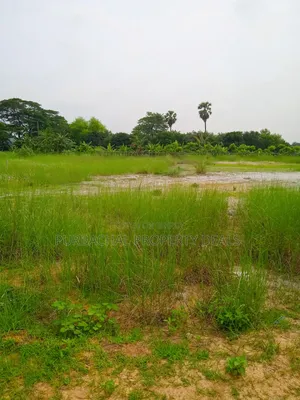 60 Decimal Land for Sale Suitable for Residential/Commercial Projects
