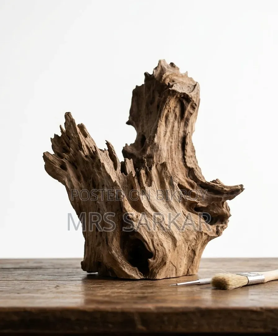 Premium Natural Driftwood For Aquarium, Bonsai Home Decor