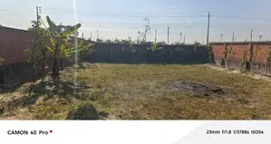 Premium 5 Katha Plot for Sale | P Block, Bashundhara Residential