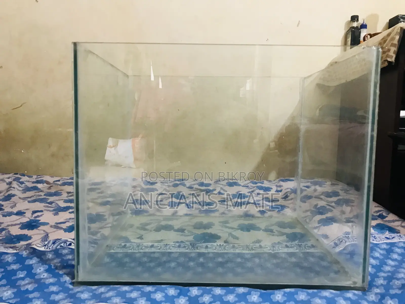 Aquarium and Stand