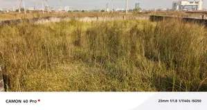 20 Katha Dispute-Free Plot for Sale - N Block, Bashundhara.