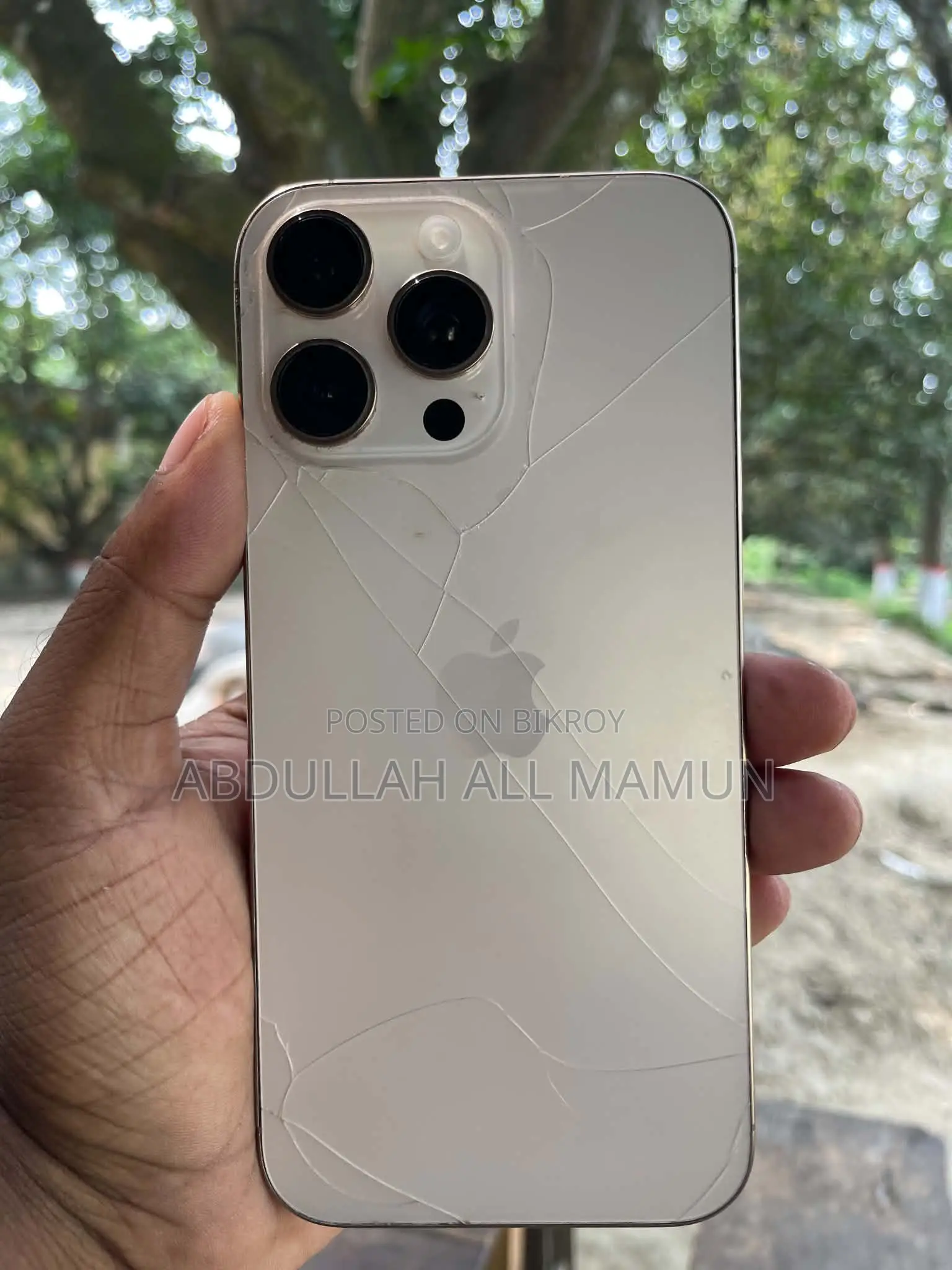 Apple iPhone 16 Pro Max 256 GB Rose Gold