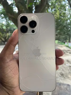 Apple iPhone 16 Pro Max 256 GB Rose Gold