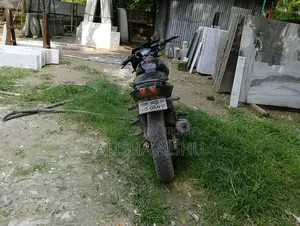 Bajaj Pulsar 150 2009 Black