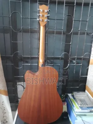 Acoustic Guitar