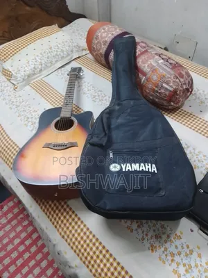 Acoustic Guitar