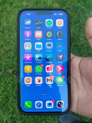 Apple iPhone 13 Pro Max 256 GB Gray