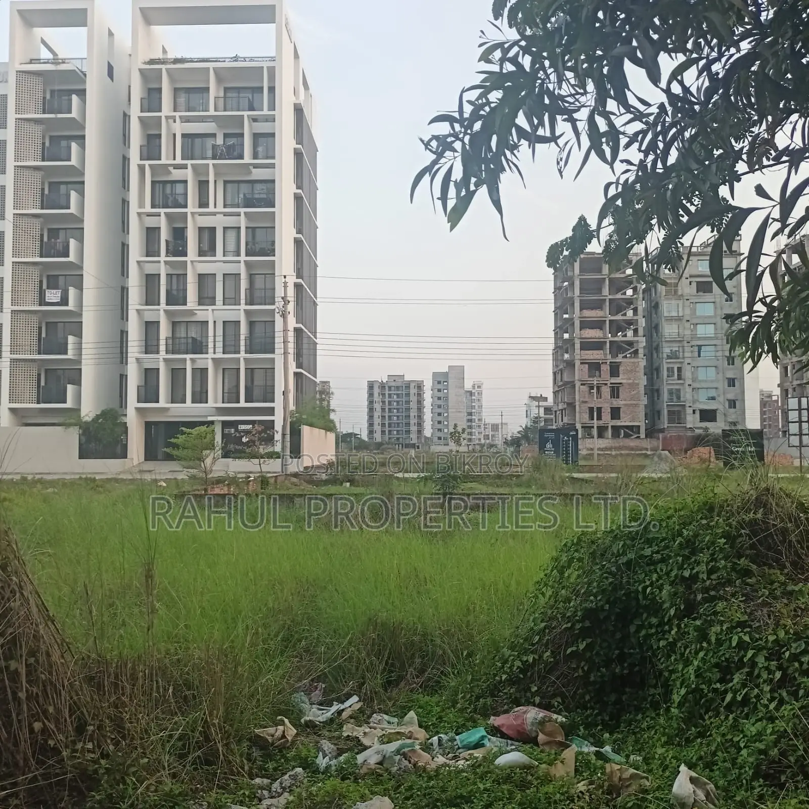G Block 3 Katha Land for Sale