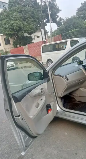 Toyota Axio 2009 Silver