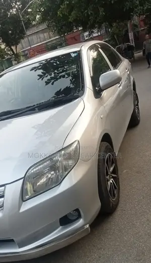 Toyota Axio 2009 Silver