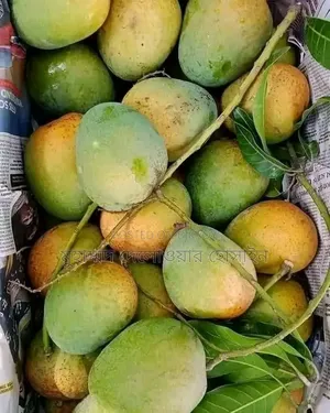 সাতক্ষীরার আসল হিমসাগর আম