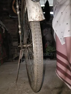 বাই সাইকেল