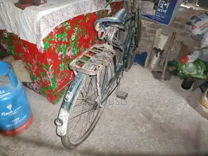 বাই সাইকেল