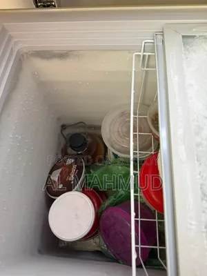 Singer Deep Fridge