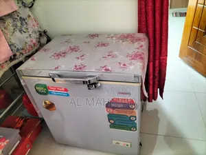 Singer Deep Fridge
