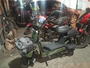 New Walton Leo 90 2022 Green