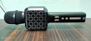 Karaoke Microphone