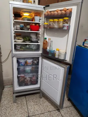 Fridge / Refrigerator