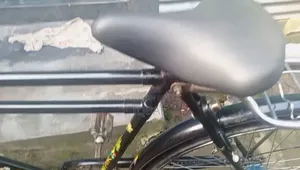 Ponix 28" বাইসাইকেল
