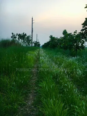 স্বদেশ প্রপার্টিজের সানভ্যালি প্রজেক্টে ৩ কাঠা রেডি প্লট বিক্রয় হবে