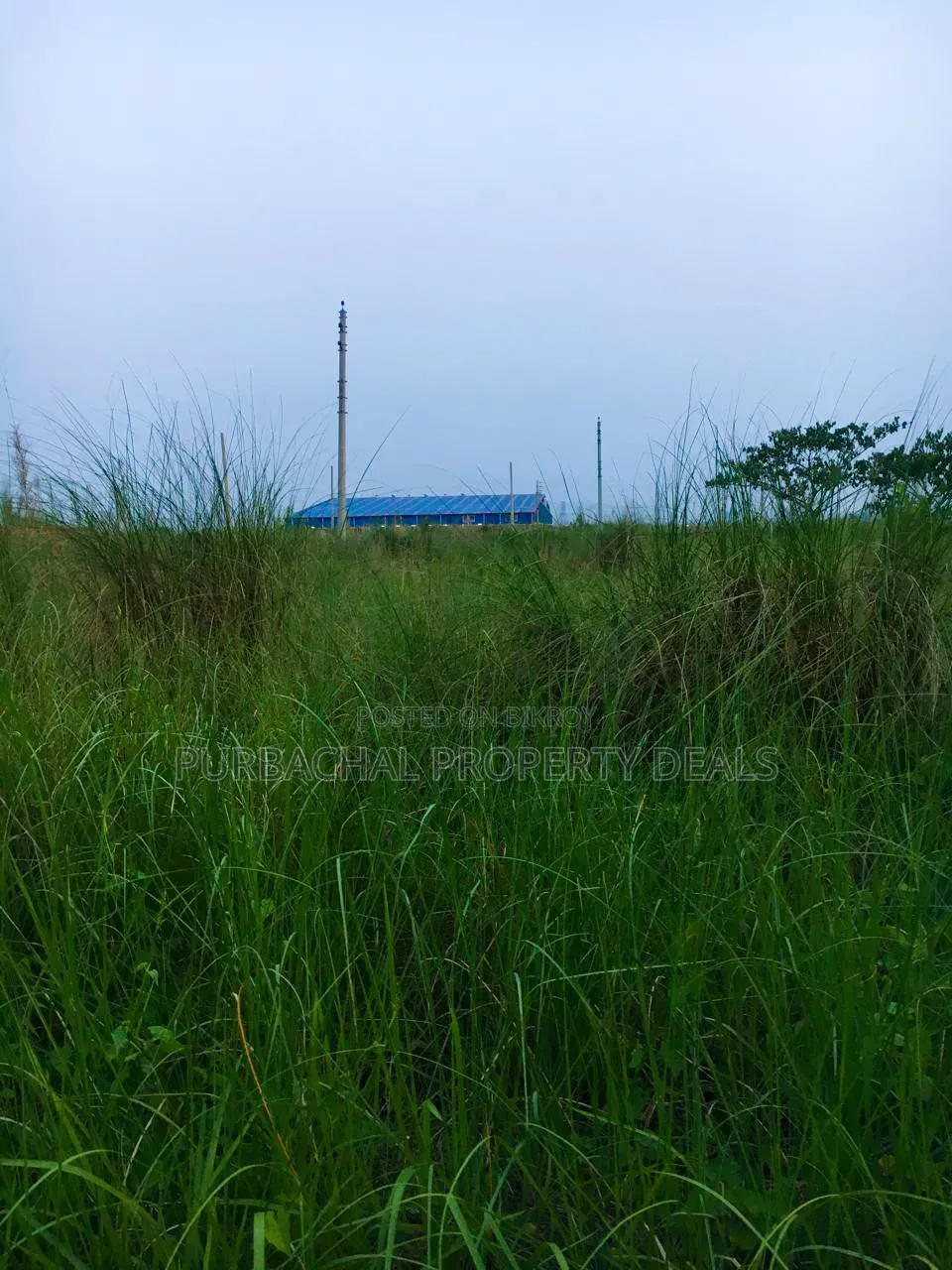 স্বদেশ প্রপার্টিজের সানভ্যালি প্রজেক্টে ৩ কাঠা রেডি প্লট বিক্রয় হবে