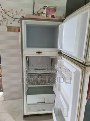 সিঙ্গার ফ্রিজ বিক্রির জন্য