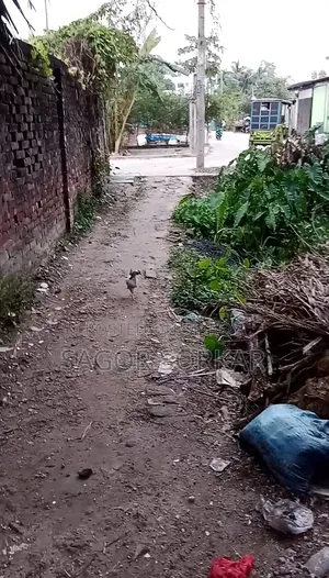গাজীপুর সদরে ৪ বেডরুমের সুসজ্জিত বাড়ি বিক্রয় হবে