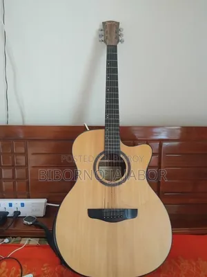 Devisor Guitar